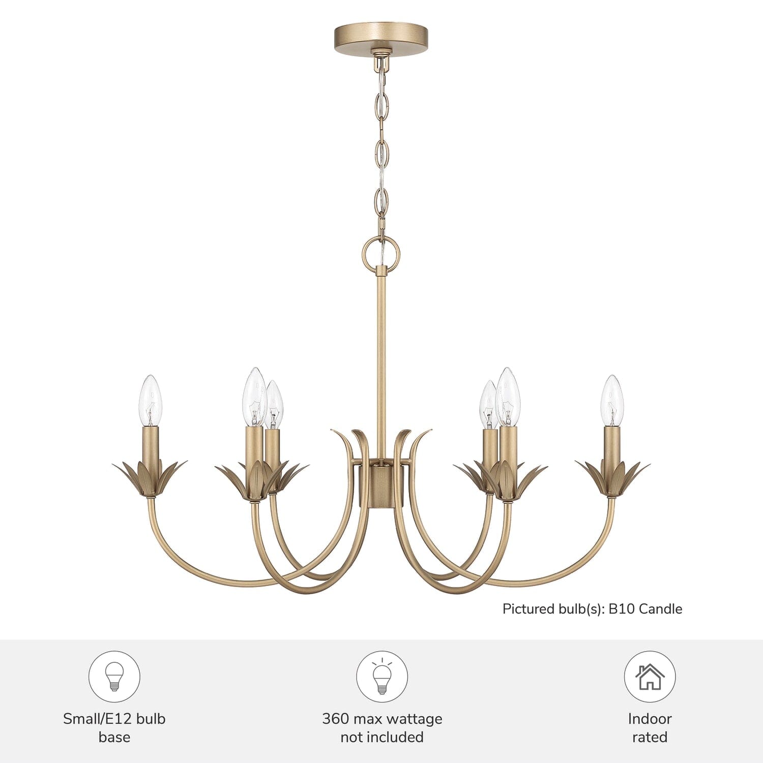 Junie Bud Jasmine Roth 6 Light Medium 28 Inch Chandelier - Image 6