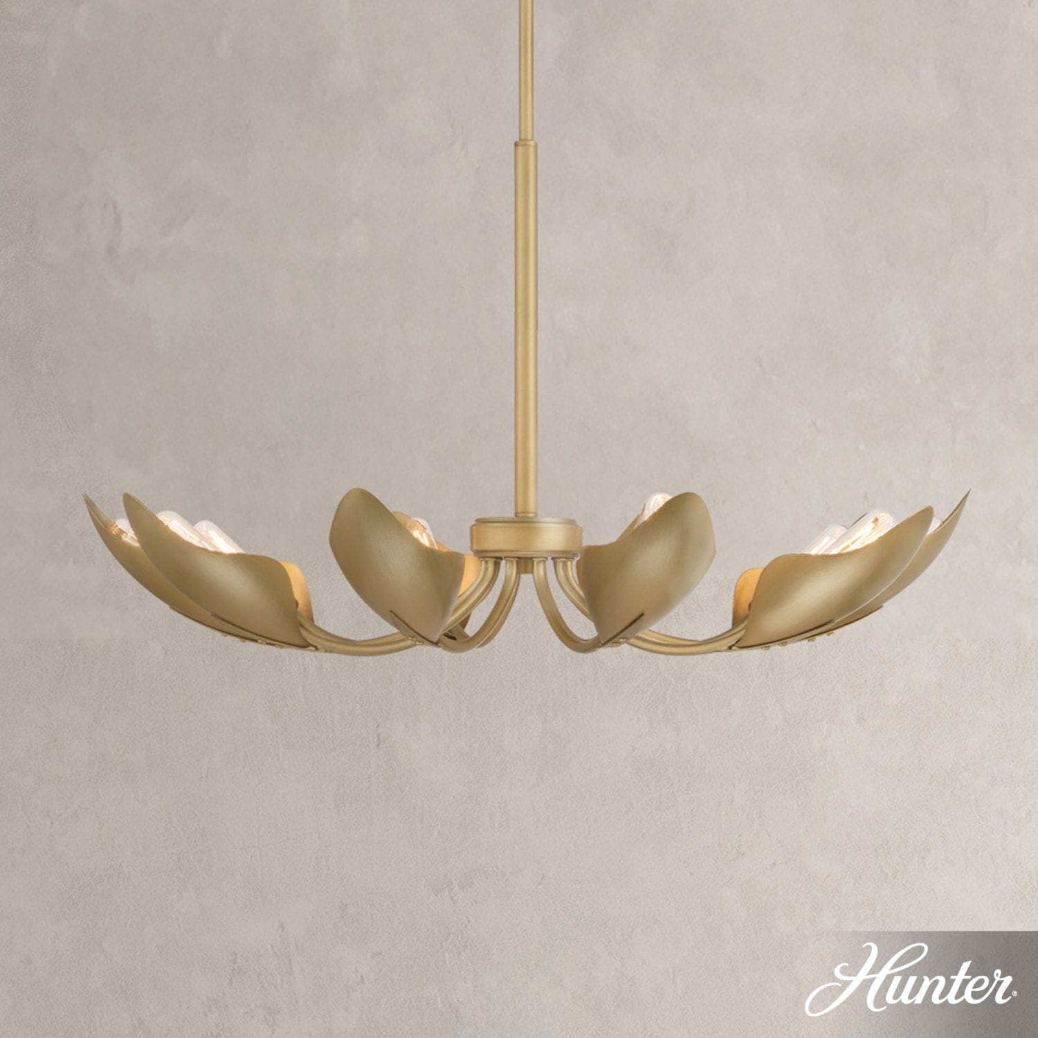 Juneway 10 Light Medium 28 Inch Chandelier - Image 2
