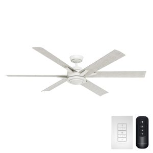 Melia Outdoor ENERGY STAR DC with LED Light 65 inch with remote and wall control