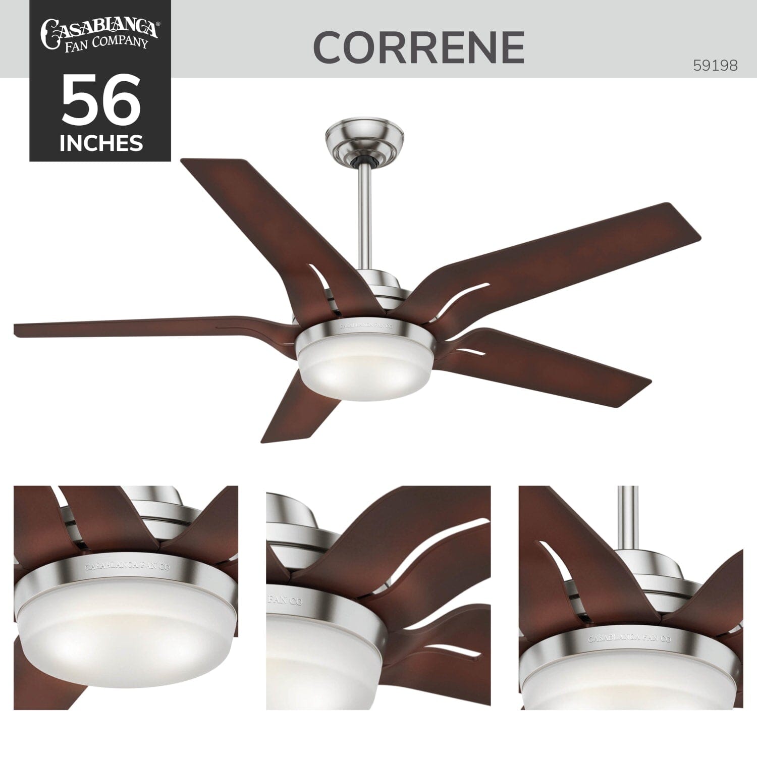 Correne with LED Light 56 inch - Image 2