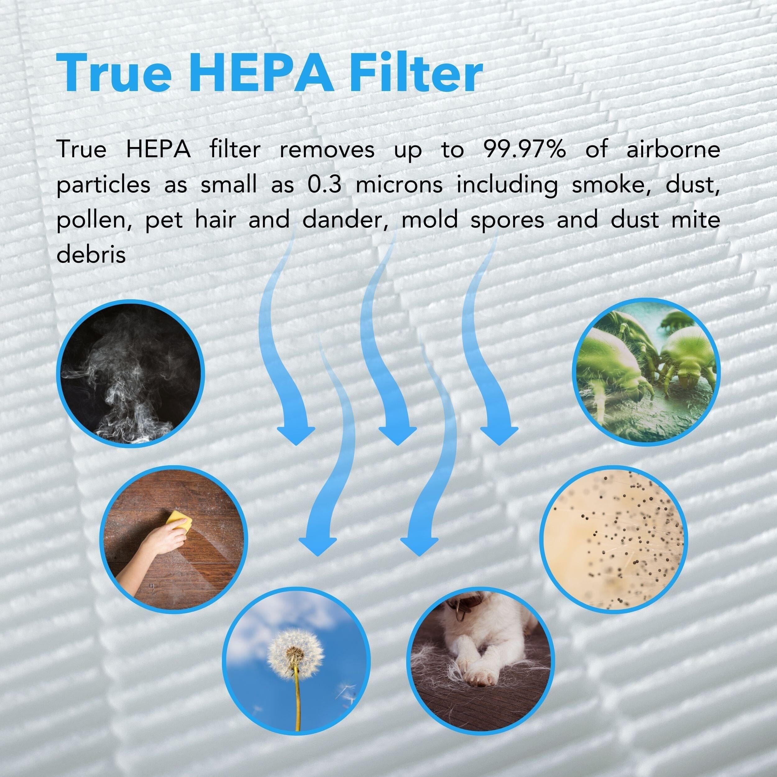 Hunter Fan HP450UV True HEPA UVC Light Technology Air Purifier - Image 5